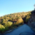 DSCN7773