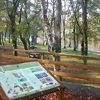 DSCN4653