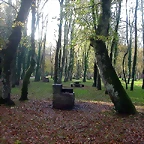 DSCN4658