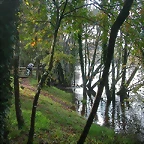 DSCN4663