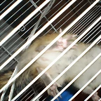 P6100259