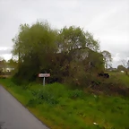 DSCN9233