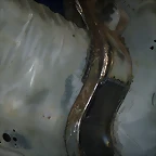 IMAG0932