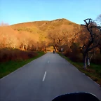 DSCN4131
