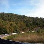DSCN9184