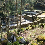 12-IMG_5420