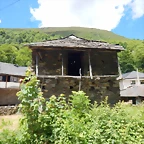 DSCN3107