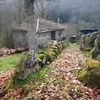 DSCN1237