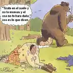 Oso violador