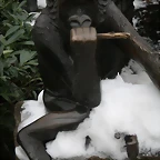 Amsterdam 29-12-2010 772