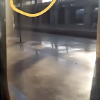 Video Mar?a IG Stories 8-8-2017 (7)