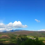 DSCN4973