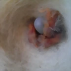 IMAG1254