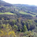DSCN6717