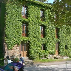DSCN6709