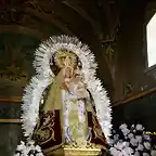 05, la virgen, marca