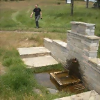 DSCN6246