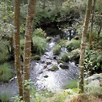 DSCN8980