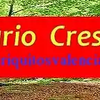 prueba  banner