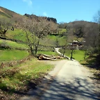DSCN9078.JPEG