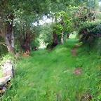 DSCN5204