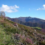 DSCN9033