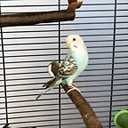 20180715_160231