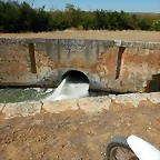 DSCN8102