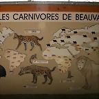 Beauval agost 2010 217 2