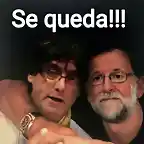 mEMESPUIGDEMONT-4