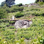 DSCN3400