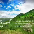 Isaiah-44-22