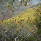 DSCN0649