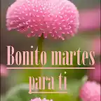 Bonito martes para ti