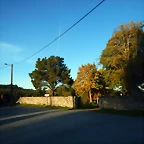 DSCN8964