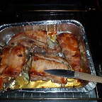 SAM_1732