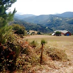 DSCN9221