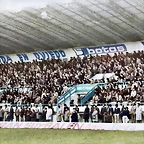 colorized-image (3)
