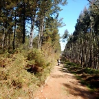 DSCN4908
