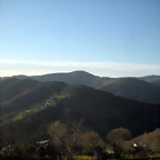 DSCN3034