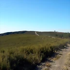 DSCN8880