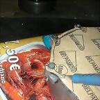 DSCN4000