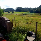 DSCN6385