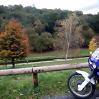 DSCN2994