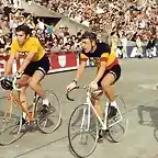 MERCKX-VAN SPRINGEL.BRUYERE.