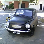600Rat