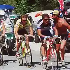 Perico-Tour1989-Lemond-Theunisse