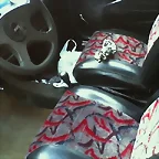 interior en arreglo
