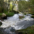 DSCN5765
