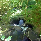 DSCN2411
